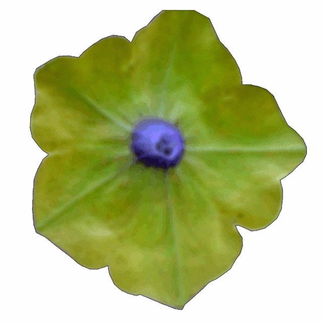 Petunia Green und Blue Foto Skulptur (Vorne)
