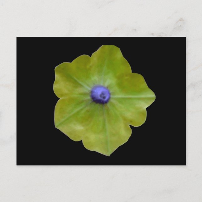Petunia Green und Blue Postcard Postkarte (Vorderseite)