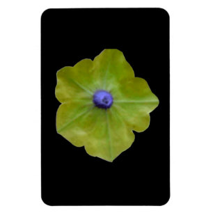 Petunia Green und Blue Premium Magnet