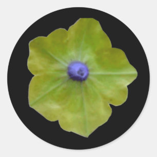 Petunia Green und Blue Sticker