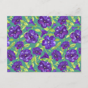 Petunia Night Sky auf aquamarinem Hintergrund Thro Postkarte