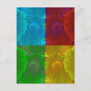 Petunia Pop Postkarte