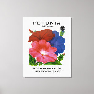 Petunia Vintag Seed Packet Leinwanddruck