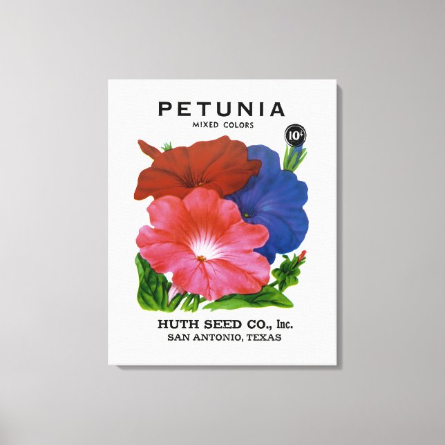 Petunia Vintag Seed Packet Leinwanddruck (Vorderseite)