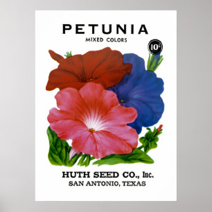 Petunia Vintag Seed Packet Poster