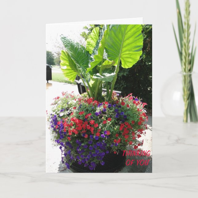 Petunias & Elephant Ohr, denken Sie an Sie Karte (Vorderseite)