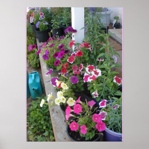 Petunias Putunias Blumengarten Poster