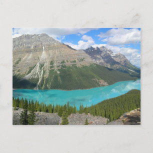 Peyto Glacial Lake Banff Park Alberta Kanada Postkarte