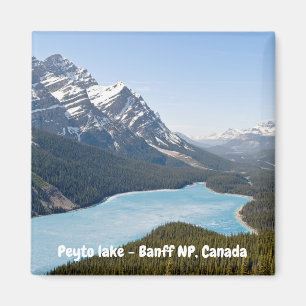 Peyto Lake - Banff National Park, Alberta, Kanada Magnet