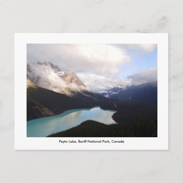 Peyto Lake / Banff National Park, Kanada. Postkarte (Vorderseite)