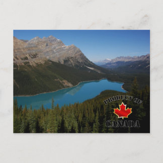 Peyto Lake Product of Canada Postkarte