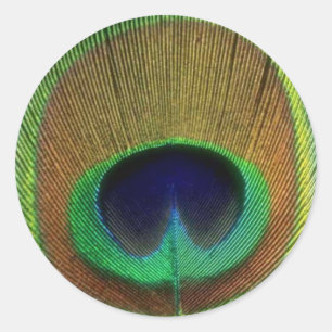 Pfacock Feather Sticker