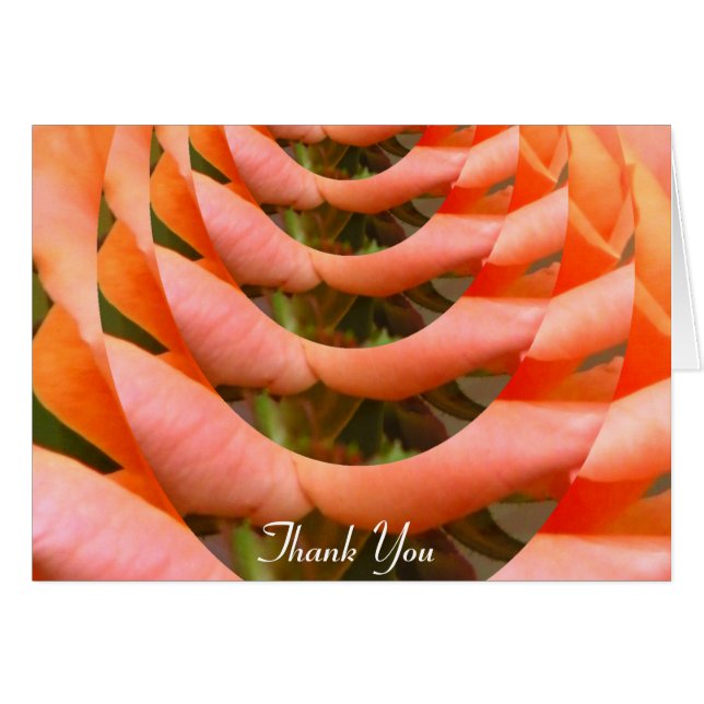 Pfad der Liebe_ (Vorderseite (Horizontal))