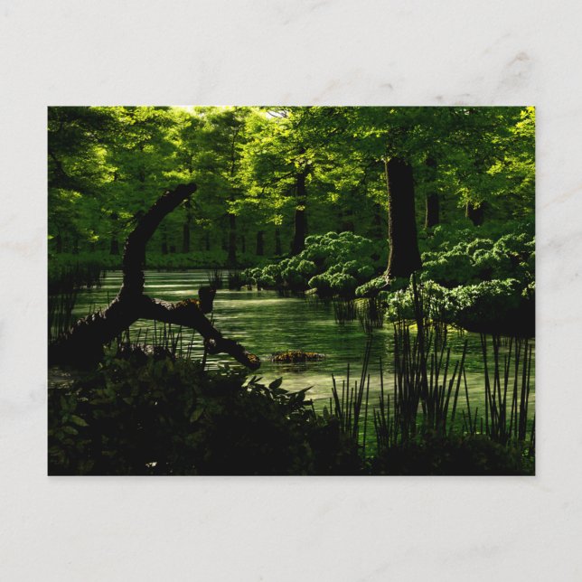 Pfad der Ruhe Postkarte (Vorderseite)