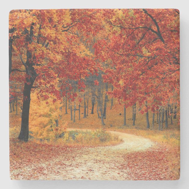Pfad durch die Bäume im Herbst Steinuntersetzer (Vorderseite)