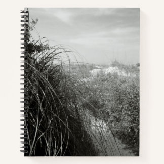 Pfad durch die Dünen | Rustikales Strandjournal Notizbuch