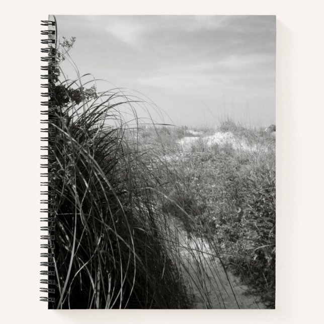 Pfad durch die Dünen | Rustikales Strandjournal Notizbuch (Vorderseite)