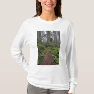 Pfad durch die riesigen Redwood-Bäume gehüllt 2 T-Shirt
