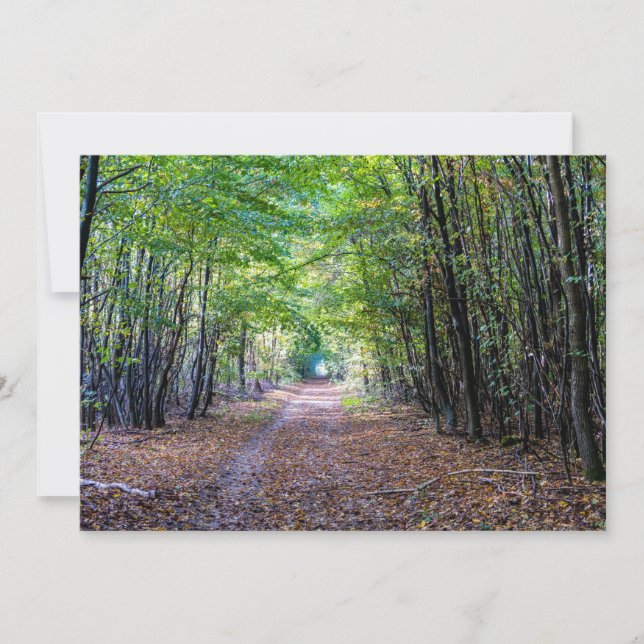 Pfad im Herbstwald, Heiliger Germain-Wald Einladung (Vorderseite)