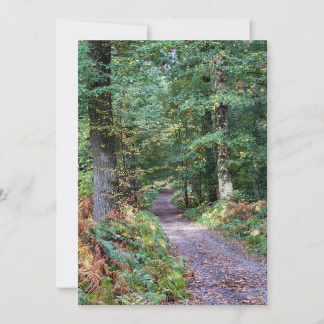 Pfad im Herbstwald, Heiliger Germain-Wald Einladung (Vorderseite)