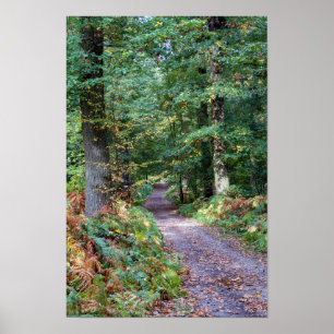 Pfad im Herbstwald, Heiliger Germain-Wald Poster
