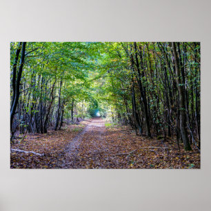 Pfad im Herbstwald, Heiliger Germain-Wald Poster