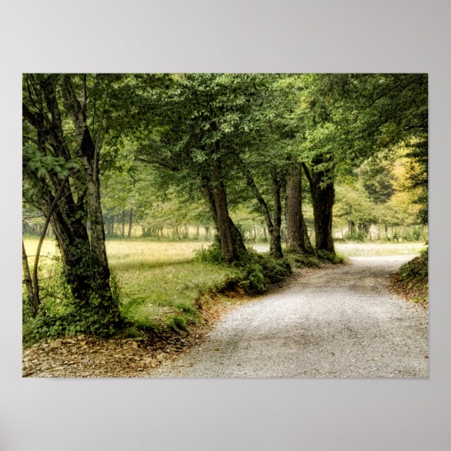 Pfad im Land Poster (Vorne)