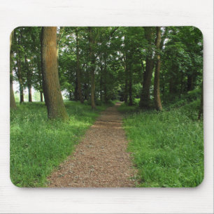 Pfad im Wald, Bute Park, Cardiff Mousepad