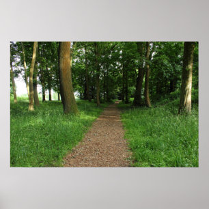 Pfad im Wald, Bute Park, Cardiff Poster