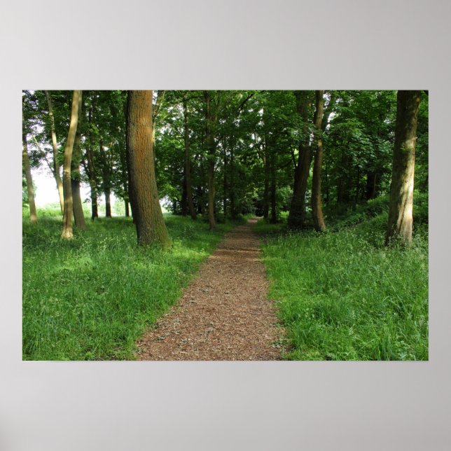 Pfad im Wald, Bute Park, Cardiff Poster (Vorne)