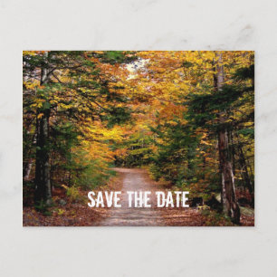 Pfad im Wald fällt Save the Date Ankündigungspostkarte