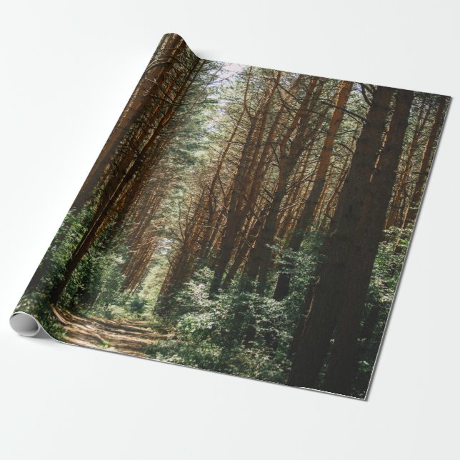 PFAD IM WALD GESCHENKPAPIER (Ungerollt)