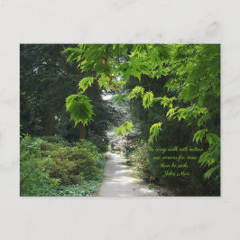 Pfad in der Natur Grüne Bäume Zitat Fotografie Postkarte