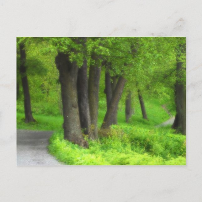 Pfad Postkarte (Vorderseite)