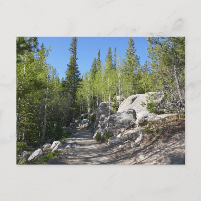 Pfad zu den Alberta Falls Postkarte (Vorderseite)