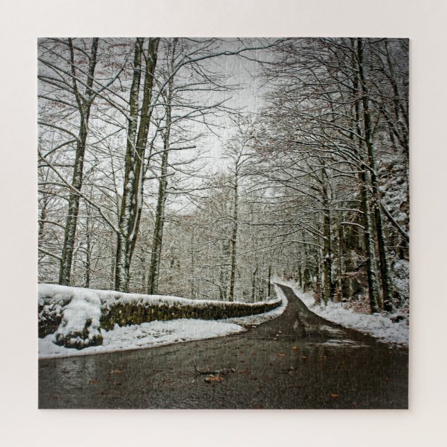 Pfad zu Dreamland - deutscher Wald -20x20-676 Stk. Puzzle (Vertikal)