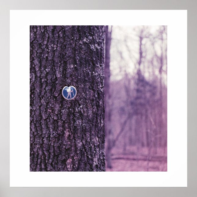 Pfad zum Dunbar Cave Staat Park Poster (Vorne)