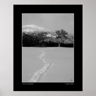 Pfad zur Birke im Winter (einfarbig) Poster