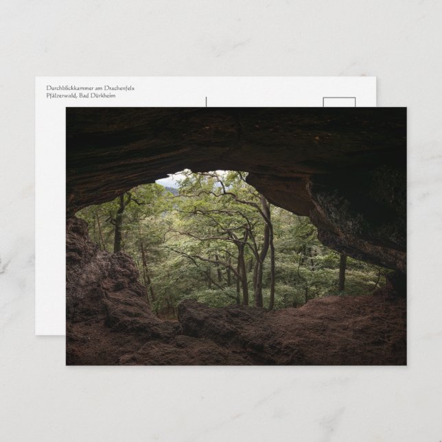 Pfälzerwald Postkarte (Vorne/Hinten)