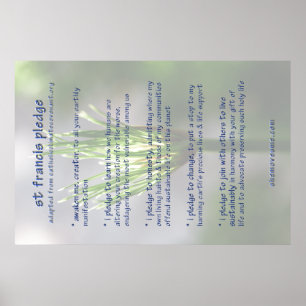 Pfandbrief für den Francis ( überarbeitet ) POSTER