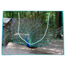 Pfannengeschenk Große Geschenktüte