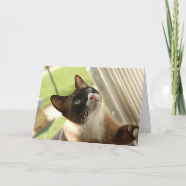 Pfannkuchen-Karte Karte (Vorderseite)