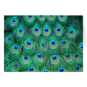 Pfau