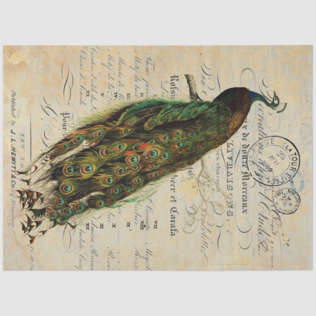 Pfau 18lb Decoupage Sheet  Seidenpapier (Vorderseite)