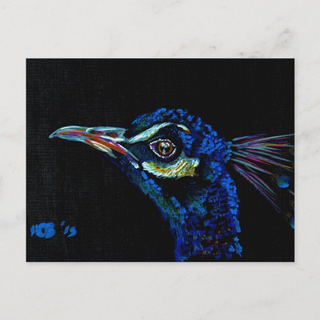 Pfau 1 Postkarte (Vorderseite)