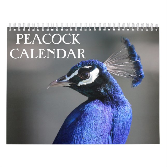 Pfau 2025 kalender (Titelbild)