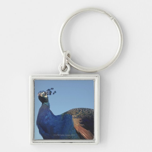Pfau 2 schlüsselanhänger (Vorne)