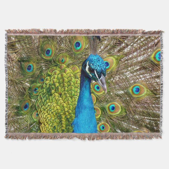 Pfau 3 Wurzeldecke Decke (Vorderseite)