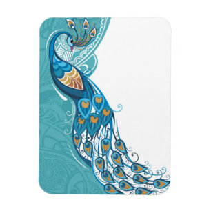Pfau auf aquamariner Illustration Magnet