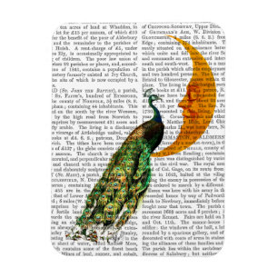 Pfau auf dem Mond Magnet